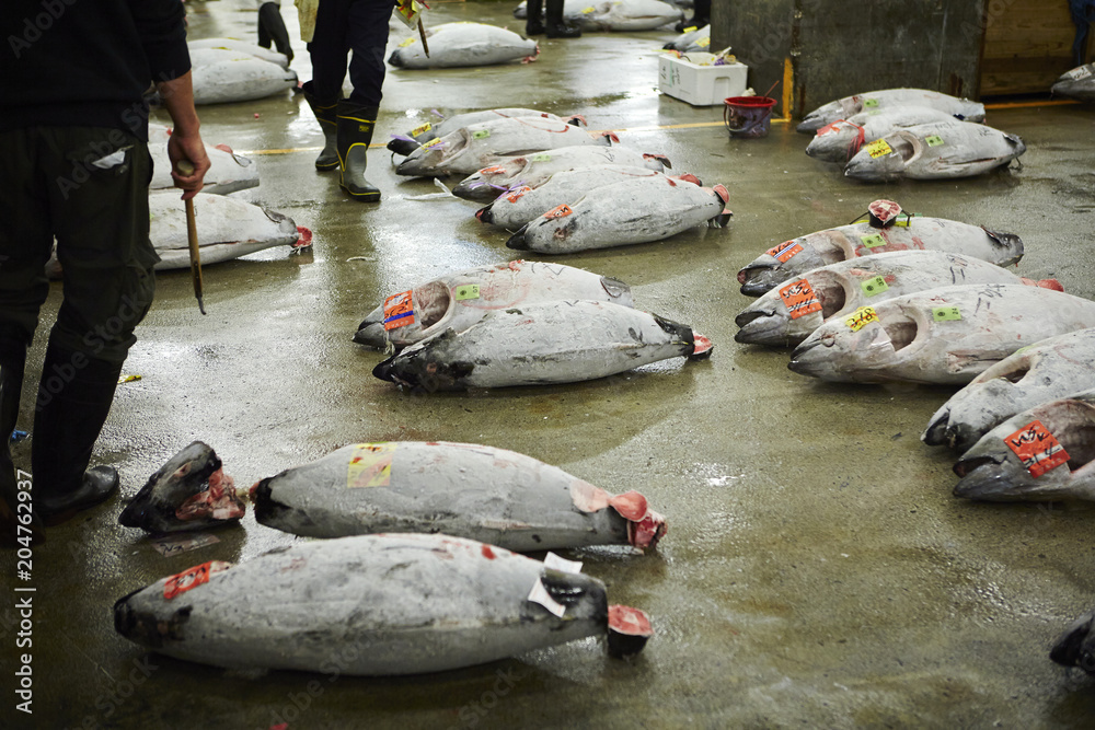 Sticker tuna market