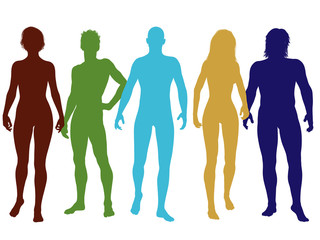 Diverse Human Color Silhouettes