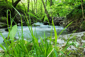 Rivière au Printemps Haute-savoie