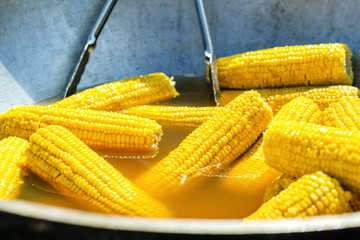 A lot boiled golden corn on the cob. Pierced on wooden sticks. Boiling in a pot.