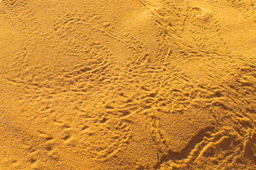 Trace of insect on sand in desert