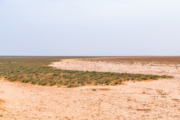 Fototapeta na wymiar Lake bed drying up due to drought