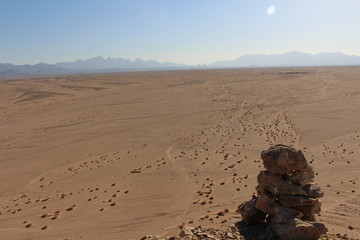 Fototapeta na wymiar long desert