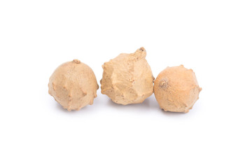 .Thai herb name Quercus infectoria G.olivier or Aleppo oak  isolated on white background. Thai herb...