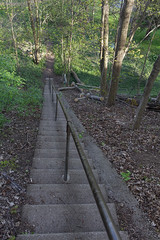 Old Stairs descending into Forest