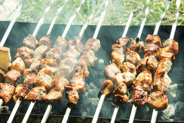 barbecue on the grill in the summer outdoors, beautiful succulent freshly cooked meat in a puff of smoke