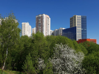 city landscape in an ecologically clean place in city of Khimki, Russia