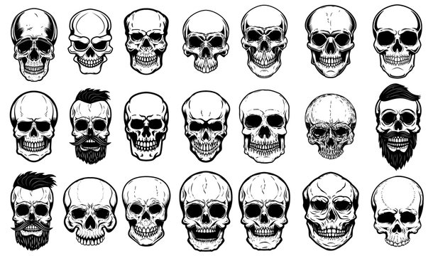 Set of human skull illustrations on white background. Design element for label, emblem, sign,logo, poster.