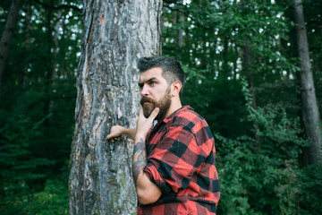 Bearded man in forest. Bearded man with long beard on natural green landscape.