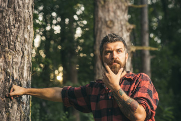 Thoughtful man standing next to tree. Curious lumberjack holding his chin. Hipster wandering in...