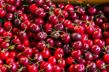 Sweet red cherries at the market