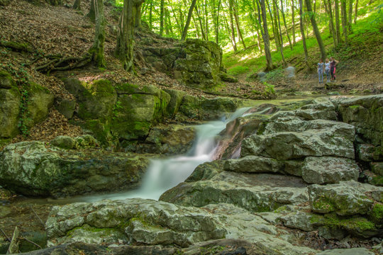 R&oacute;mai-f&uuml;rdő