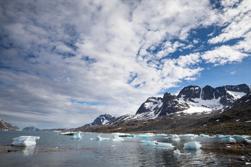 Die Wildnis der Arktis