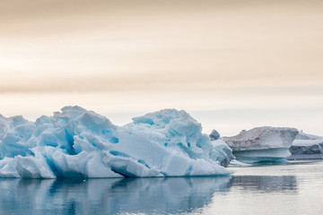 Fototapeta na wymiar Die Wildnis der Arktis