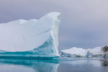 Die Wildnis der Arktis