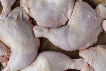Raw chicken legs close up on tray