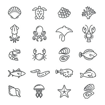 Sea food related icons: thin vector icon set, black and white kit