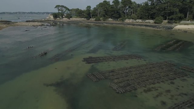 Drone en Bretagne. 4k - Survol et travelling. Oister farm. Parc &agrave; hu&icirc;tre. Mar&eacute;e basse.