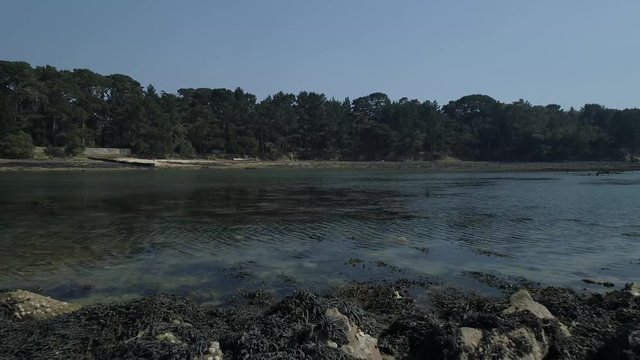 Drone in 4k - Sea, river and cormorant. Flat color. Bird dive and fly away. Sun in Bretagne. Mer, rivi&egrave;re et cormoran. Oiseau qui plonge et s'envole. Soleil en Bretagne.
