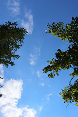 Summer sky