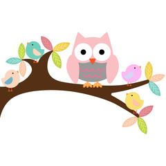 Owl on a branch with birds
