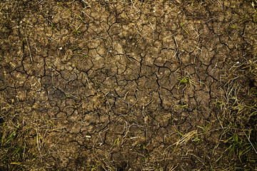 Dry cracked soil texture and background. Abstract ground. Natural abstraction. Cracked soil...