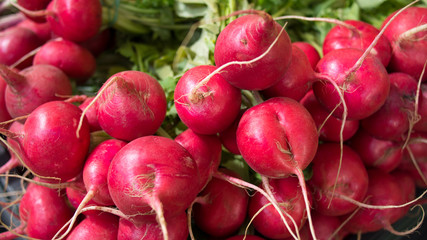 Fresh radish from farm markets, Raw organic fresh red radishes in bunch