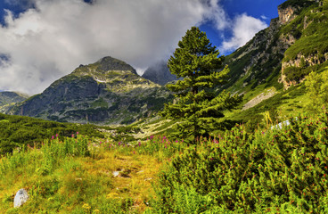 Obraz premium Beautiful landscape in the high mountain