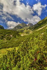 Obraz premium Beautiful landscape in the high mountain