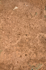Rocks / sand texture