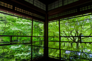 新緑の窓