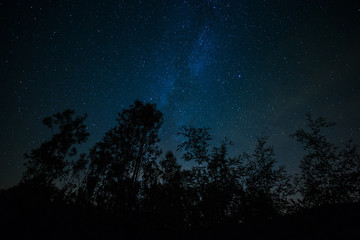 Milky way and trees