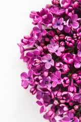 White background half filled with close up beautiful pirple lilac flowers. top view. flat lay. Concept of love, proposal, congratulation and spring.