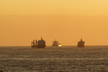 Fototapeta premium Cargo ships at the sea at sunset