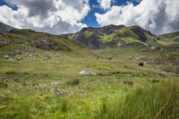 Nationalpark Snowdonia - Wales