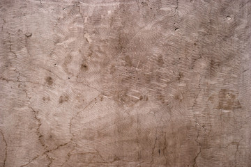 The plastered wall. The plaster is embossed. Good to use as a background.