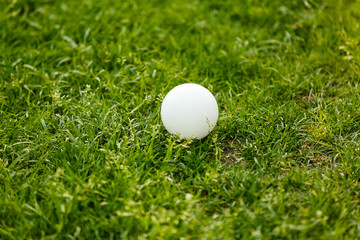 ball in the rough
