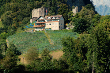 Fototapeta na wymiar Graepplang; vineyard, ruins and hotel in Flums, Swiss Alps