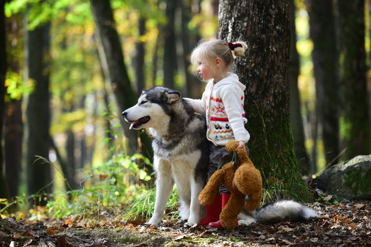 Little girl with dog an autumn woods