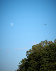 flight in the sky and moon