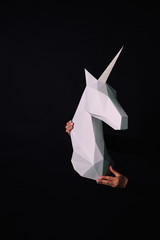 Unicorn - a mythical being symbolizing integrity © dmytrobandak