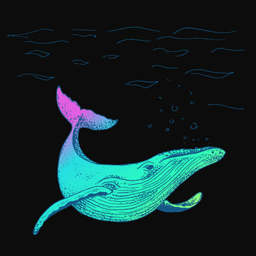 Vector blue whale illustration, ink sketch with big swimming mammal. Isolated whale swimming in the ocean. Hand drawn illustration in abstract childish style.