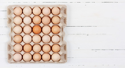 the eggs in the carton boxes laying on white wooden background with copy space closeup