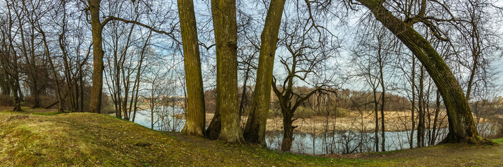 Fototapeta na wymiar panoramic view of the river from the hill through the trees in the city park