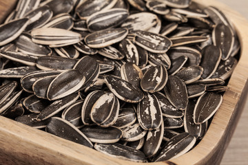 Sunflower seeds - Helianthus annuus