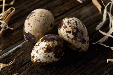 Fototapeta premium Conceptual still-life with quail eggs in hay nest over dark wooden background, close up, selective focus
