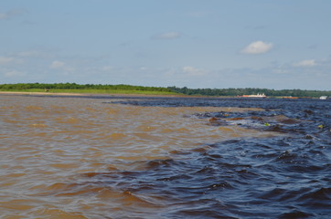 Brazil Amazon, 2016