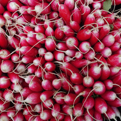Radishes