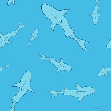 Vector seamless pattern of shark fish silhouette on blue background. Shark fish outline background