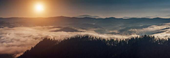 A sunny morning in the Carpathian mountains. Ukraine